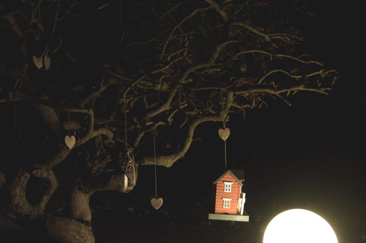 La Moia Bed & Breakfast Cerete ภายนอก รูปภาพ