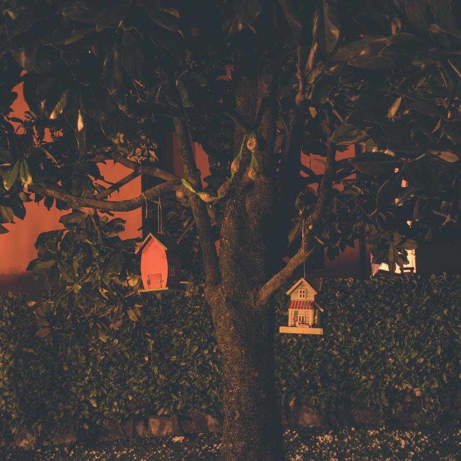 La Moia Bed & Breakfast Cerete ภายนอก รูปภาพ